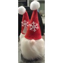 Pere Noel Bonnet rouge