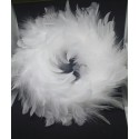 Couronne plumes
