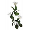 STEPHANOTIS artificiel