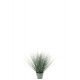 Vase Herbe