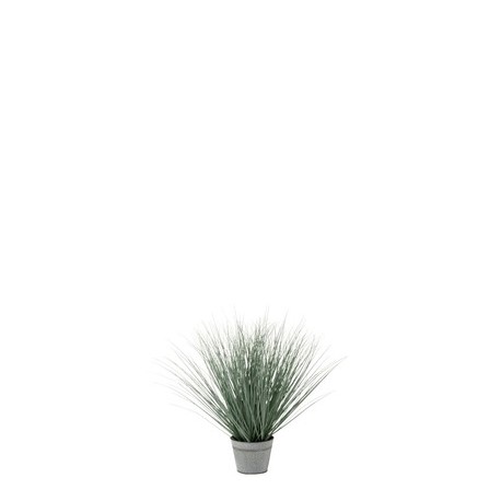 Vase Herbe