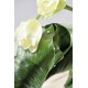  6 Couronnes mousse florale 20cm